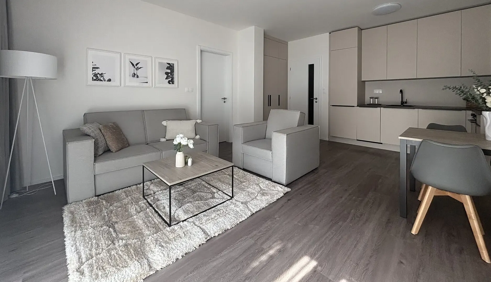 3-4 rooms apartment, AFI Home Karlin
